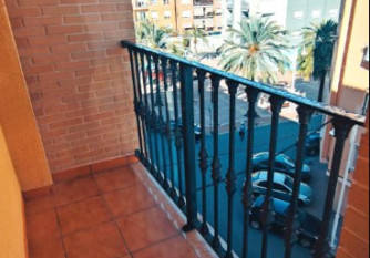 Gandia Grao