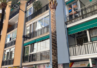 Gandia Rep. Argentina