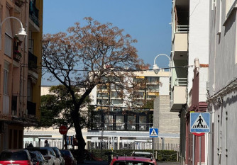 Gandia Grau