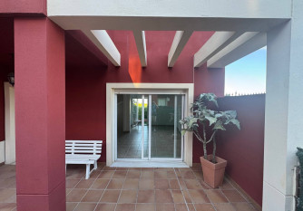 Palmera