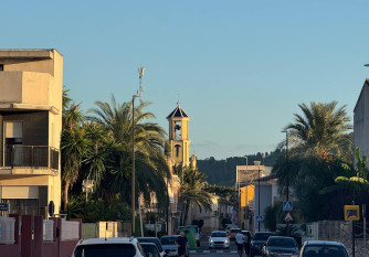 Palmera