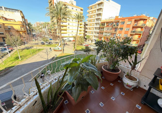 Gandia Centro