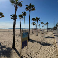 Playa de Gandia 